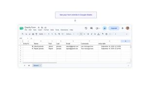Gravity Forms entries synced to Google Sheets