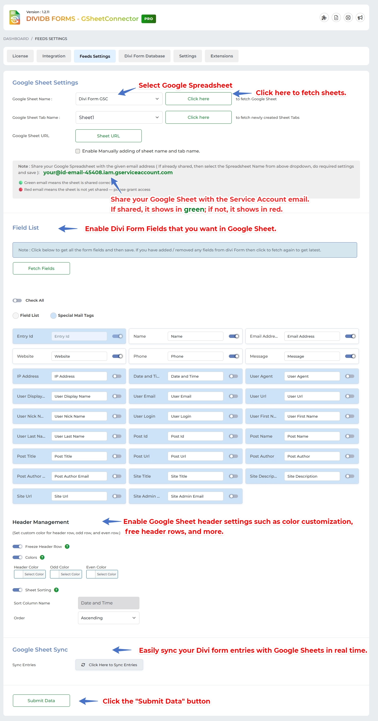 Google Sheet Connector Divi Form - Manual Setting