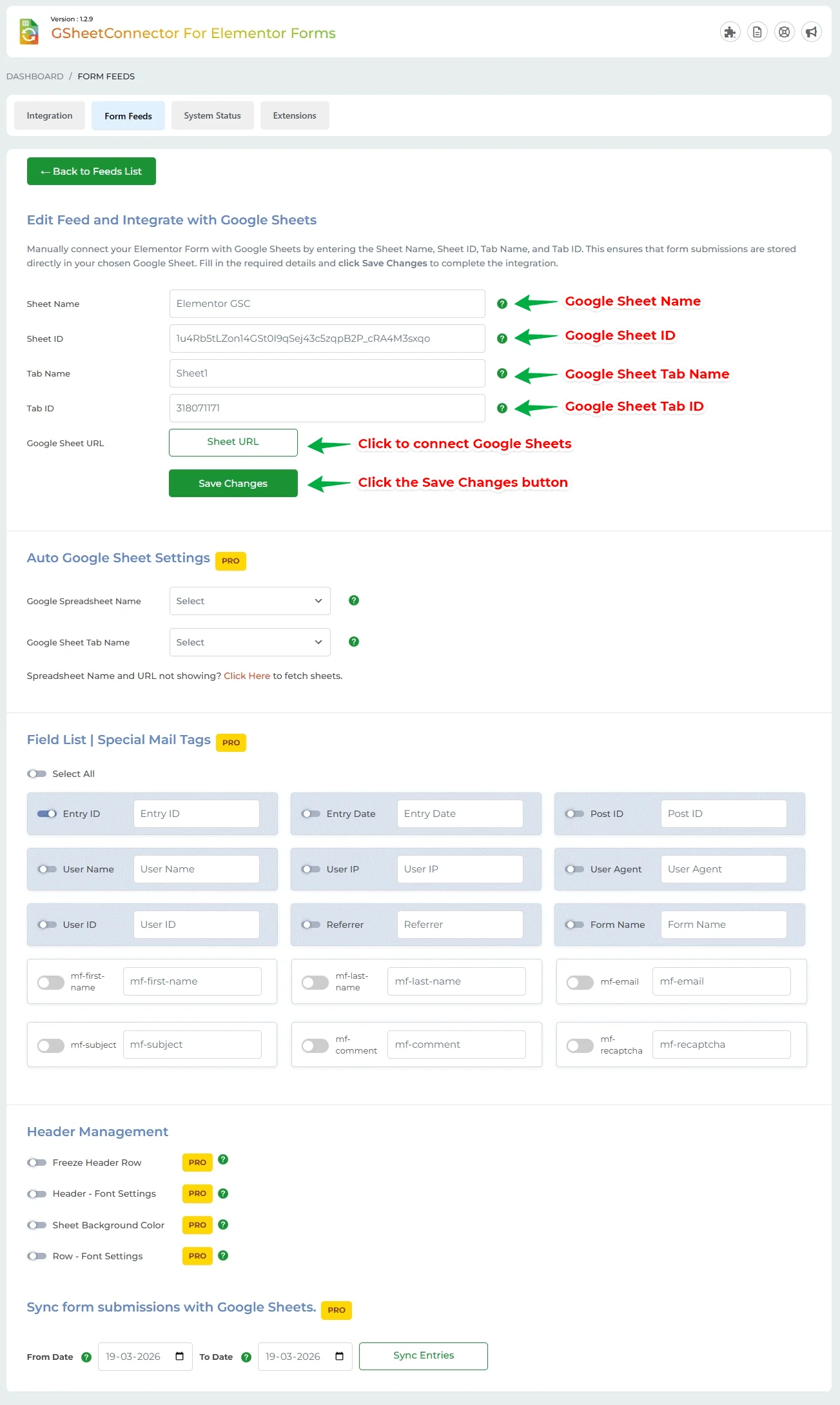 Elementor Google Sheet - Feed Setting