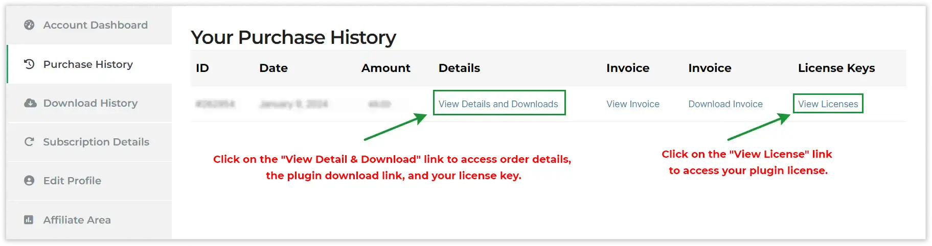 Formidable Forms Google Sheet Connector PRO plugin installation