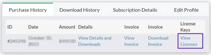 Upgrade Plugin - PRO Versions - GSheetConnector
